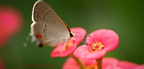 DDOS压力测试网页端