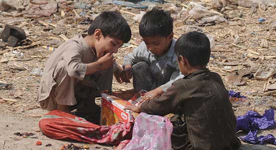 每天都进步的网站流量攻击